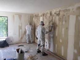  Tahoma, CA Mold Removal & Remediation Pros